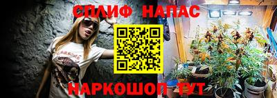 сатива Бузулук