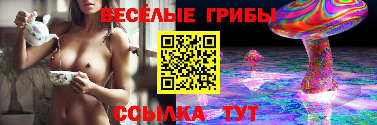 Галлюциногенные грибы MAGIC MUSHROOMS  Псилоцибиновые грибы мухоморы  Мыски  Вход с VPN 